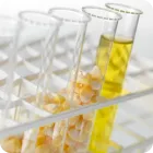 바이오매스 기술 관련 이미지