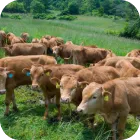 농축수산 부문 기술 관련 이미지