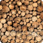 바이오에너지 기술 관련 이미지